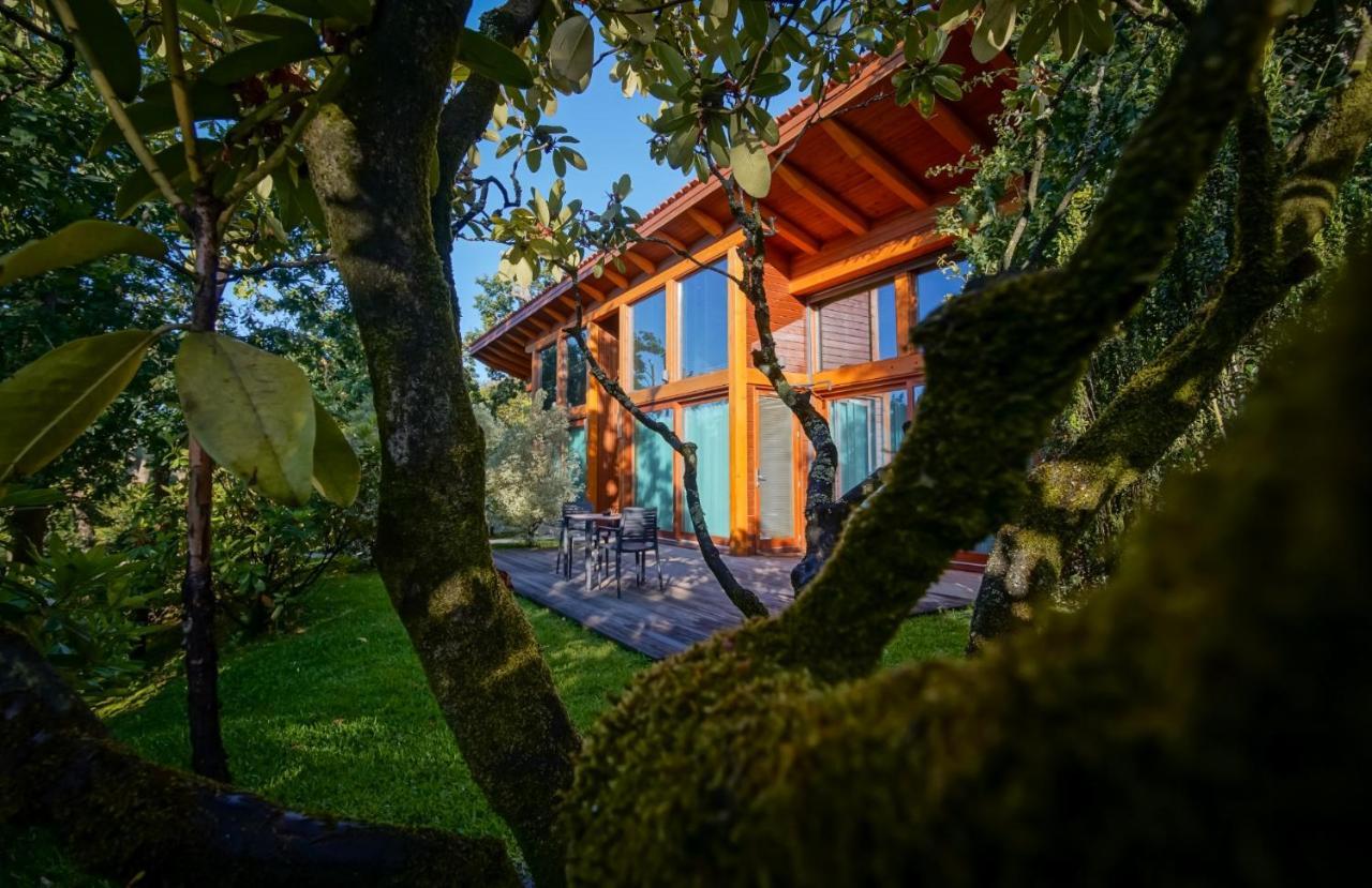 Rinoterra Minho Hotel Caminha Ngoại thất bức ảnh